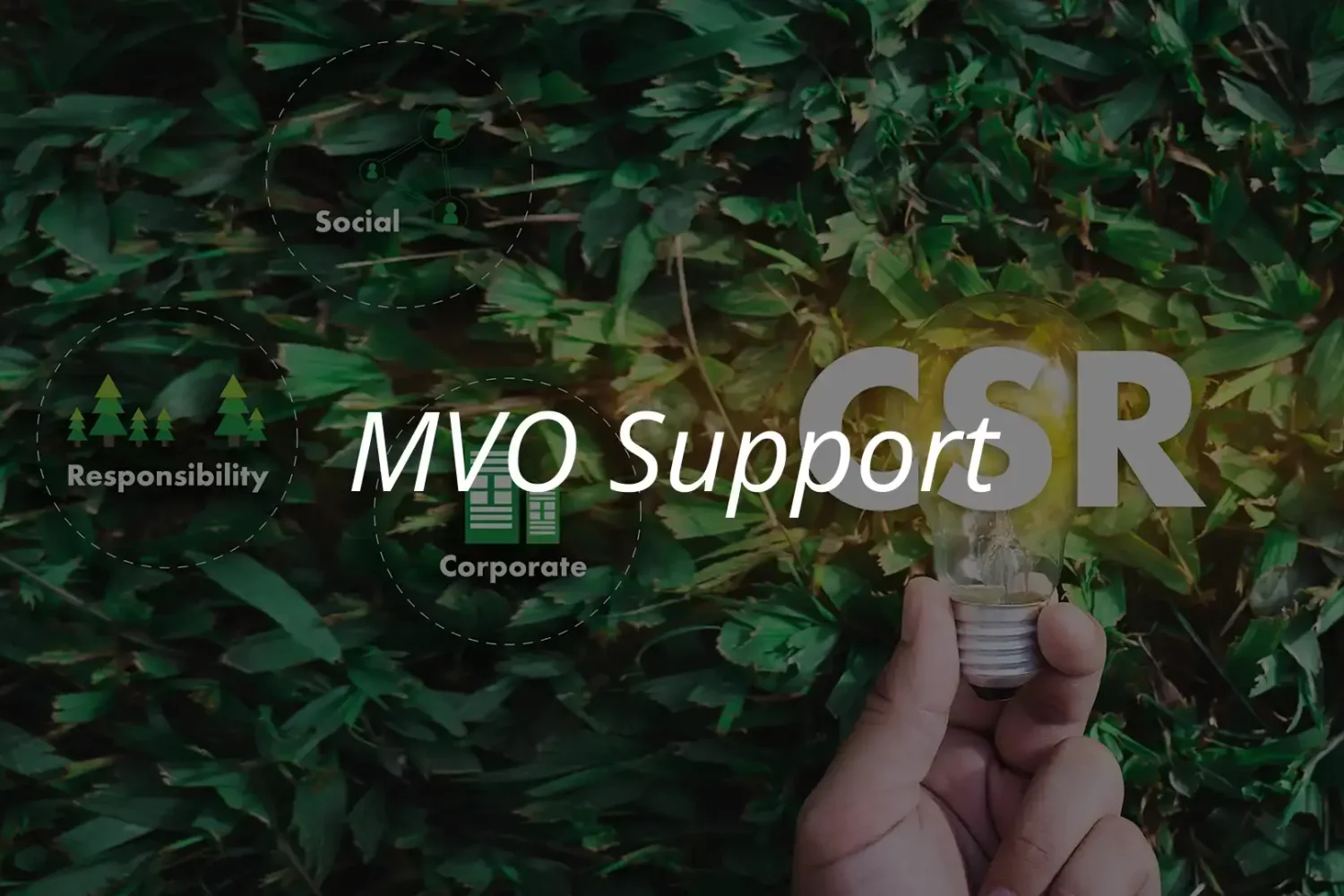 mvo_support